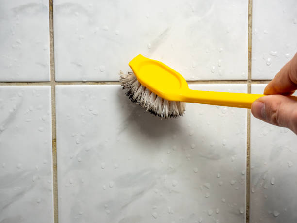 Best Fast Mold Removal  in Braselton, GA